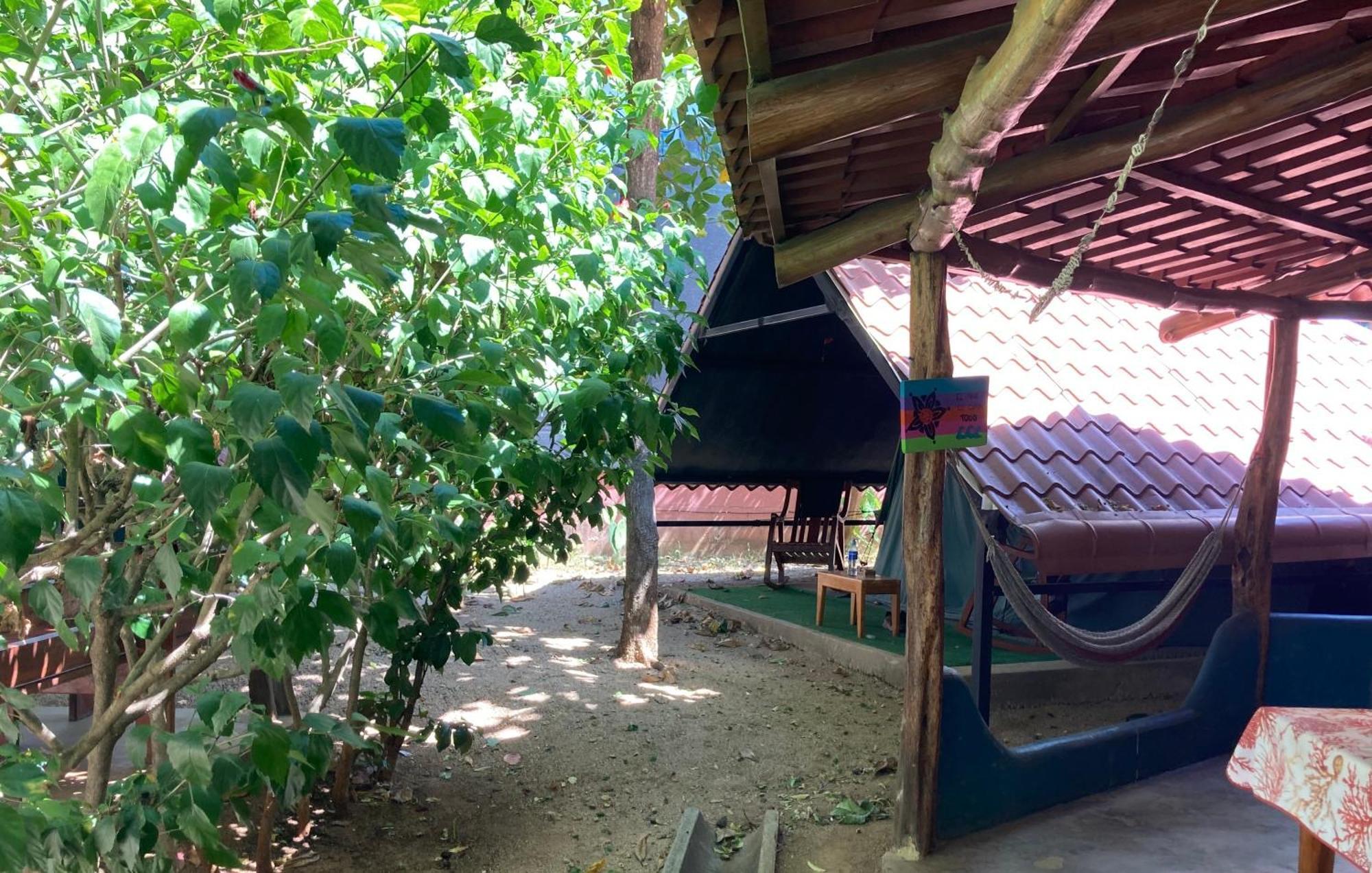 Tamahostel & Glamping Ταμαρίντο Εξωτερικό φωτογραφία